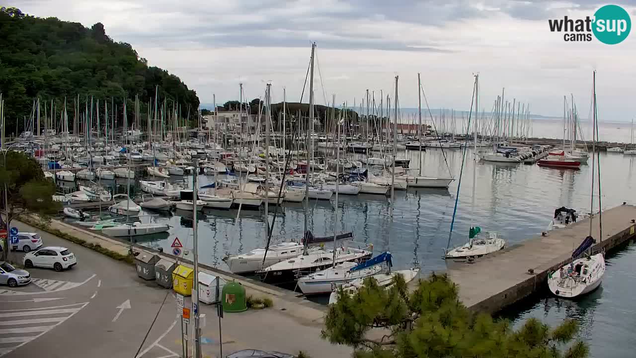 Webcam Sistiana – Marina and Bay Live View