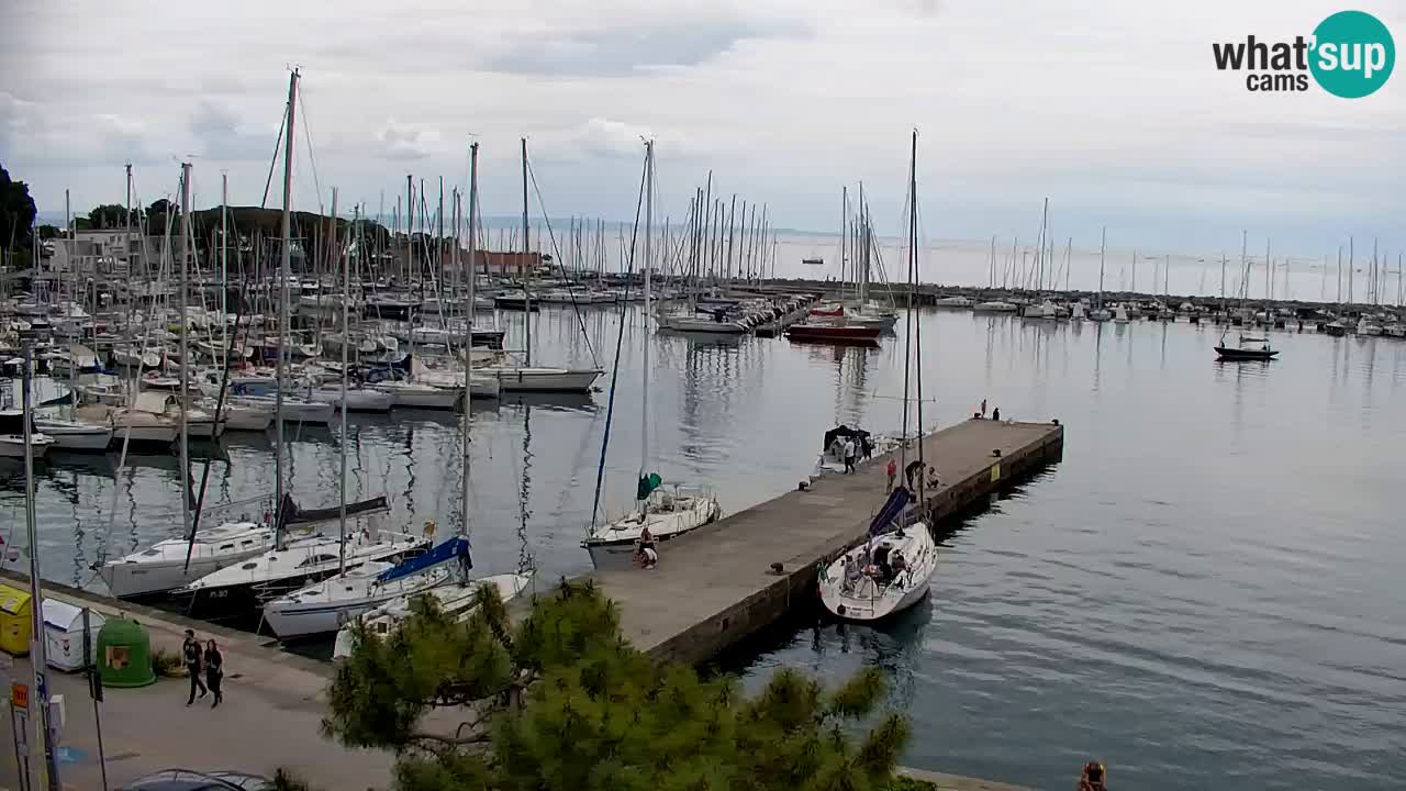 Webcam Sistiana – Vista sulla marina e sulla baia