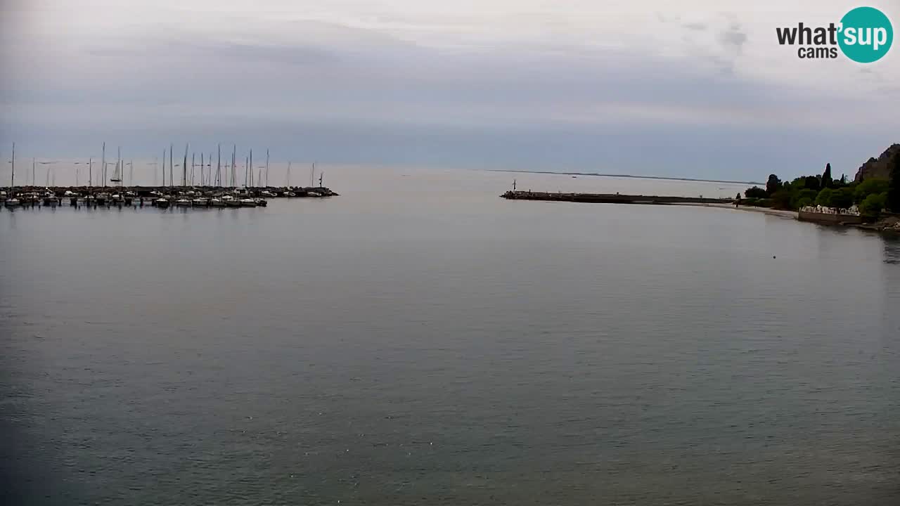 Webcam Sistiana – Marina and Bay Live View