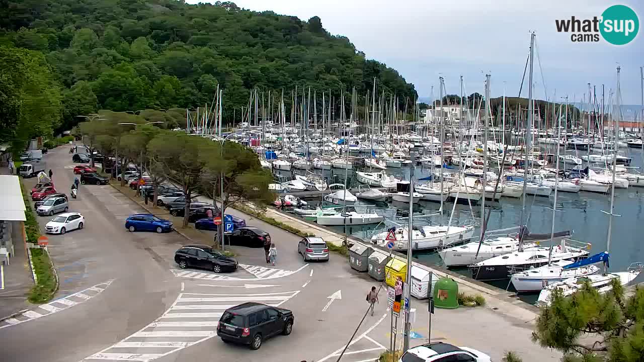 Webcam Sistiana – Marina and Bay Live View