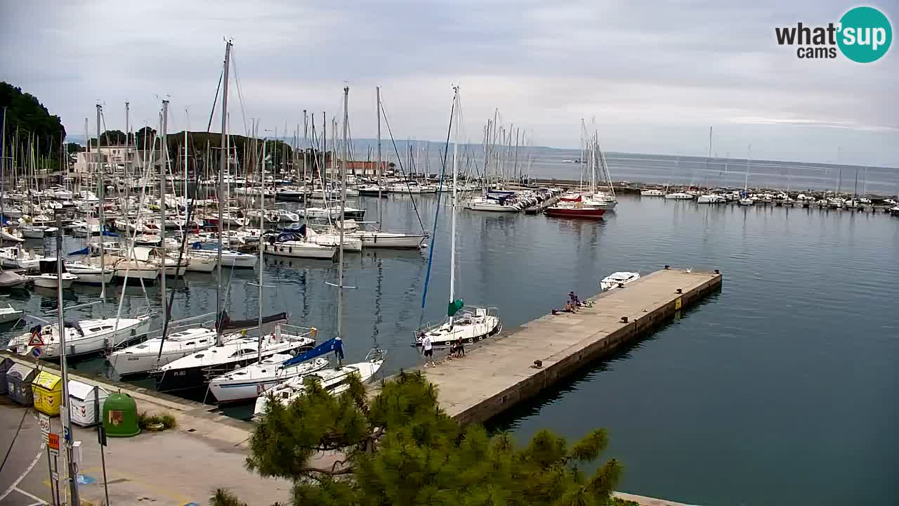 Webcam Sistiana – Vista sobre la marina y la bahía