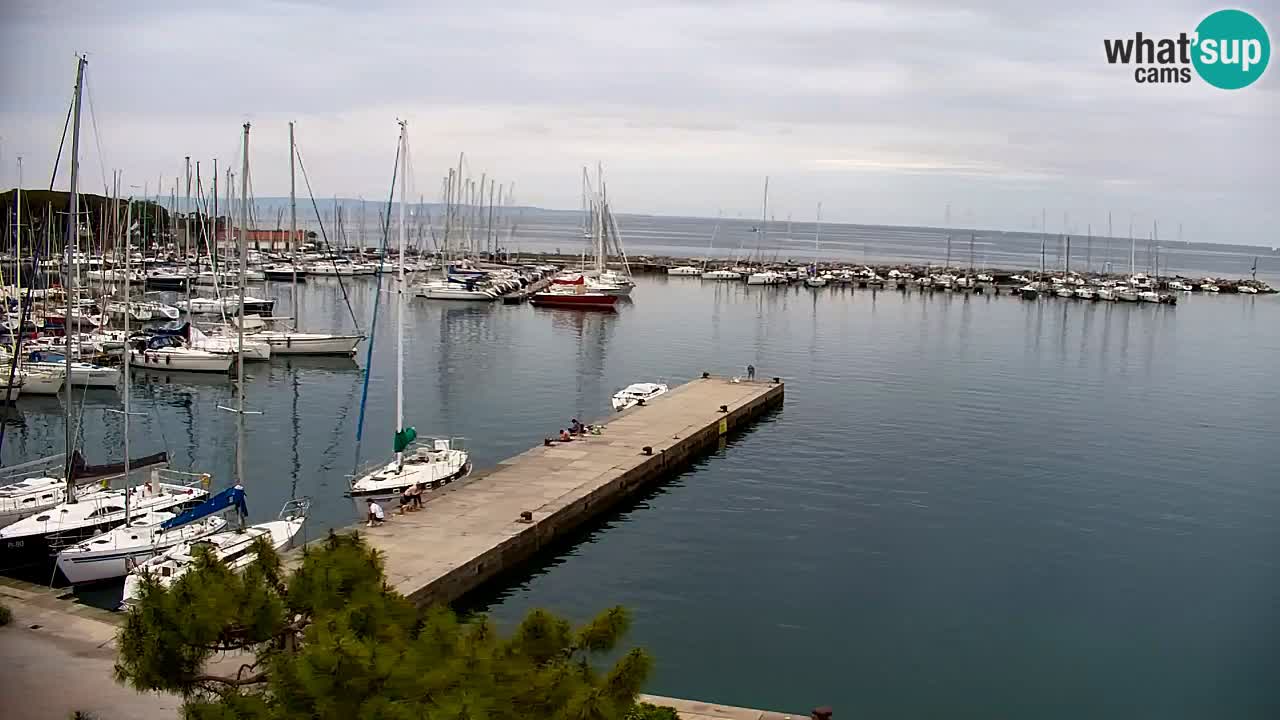 Webcam Sistiana – Pogled na marinu i zaljev