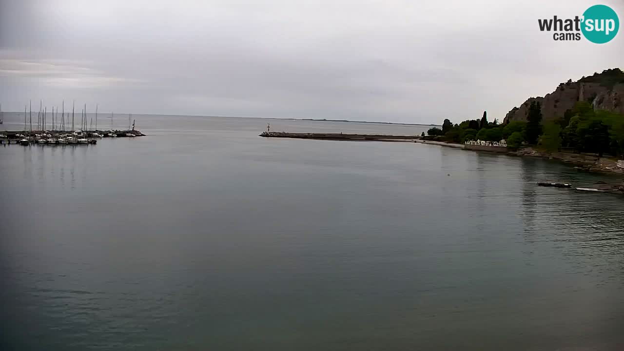 Webcam Sistiana – Vista sobre la marina y la bahía