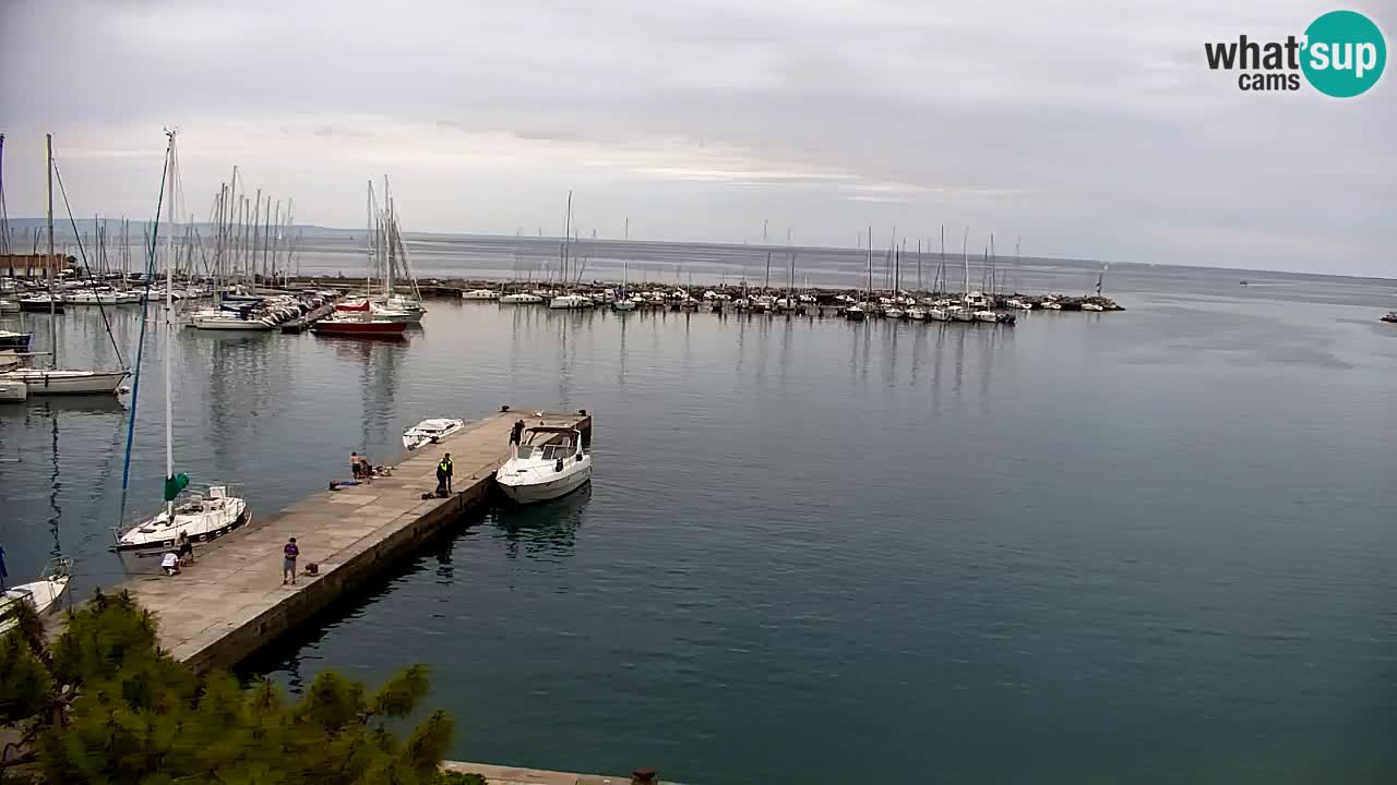 Webcam Sistiana – Marina and Bay Live View