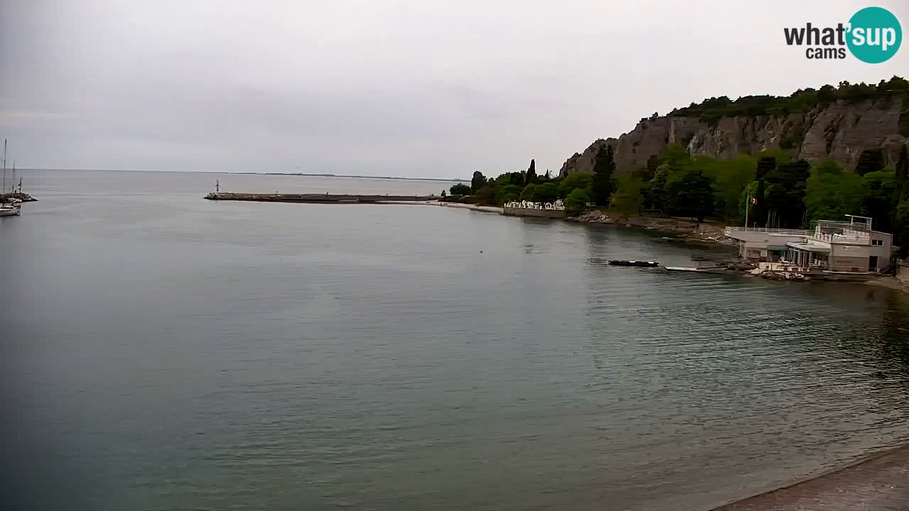 Spletna kamera Sesljan (Sistiana) – Pogled na marino in zaliv