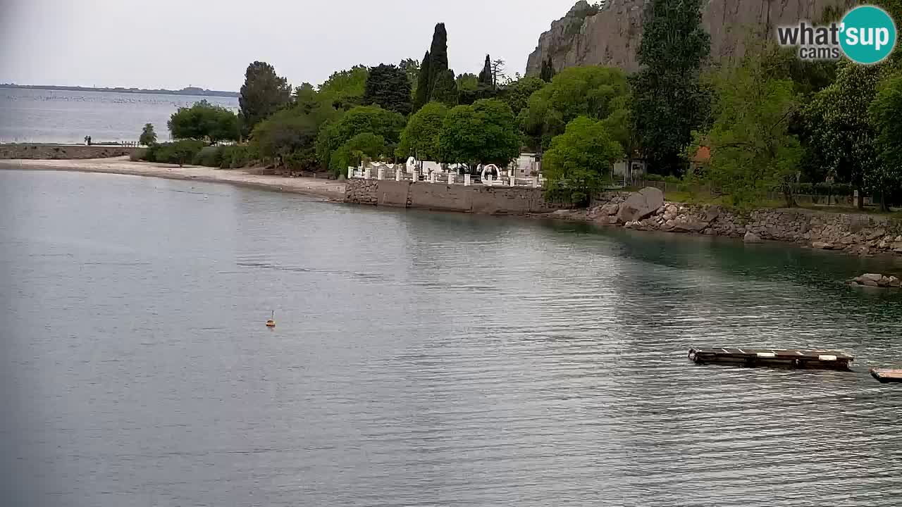 Webcam Sistiana – Marina and Bay Live View