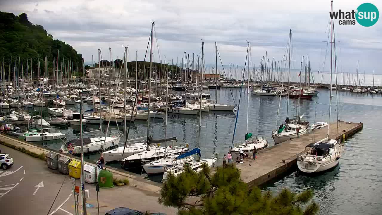 Spletna kamera Sesljan (Sistiana) – Pogled na marino in zaliv