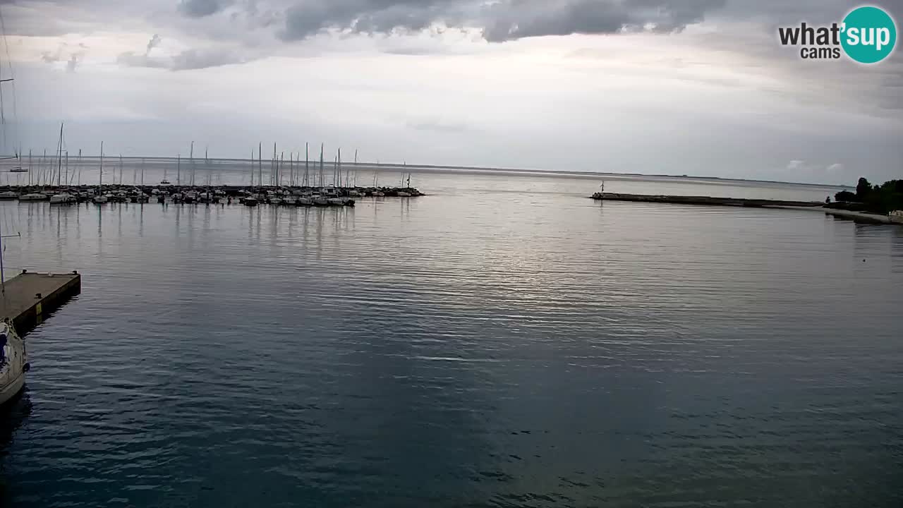 Webcam Sistiana – Pogled na marinu i zaljev