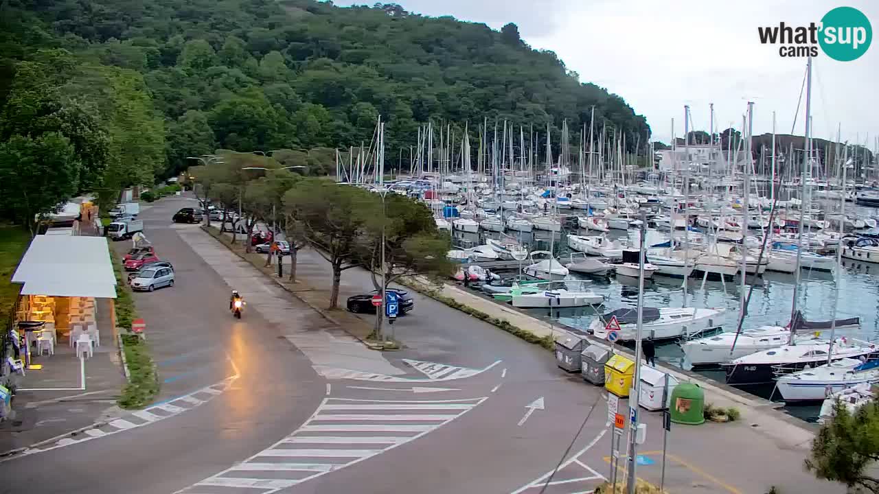 Webcam Sistiana – Pogled na marinu i zaljev