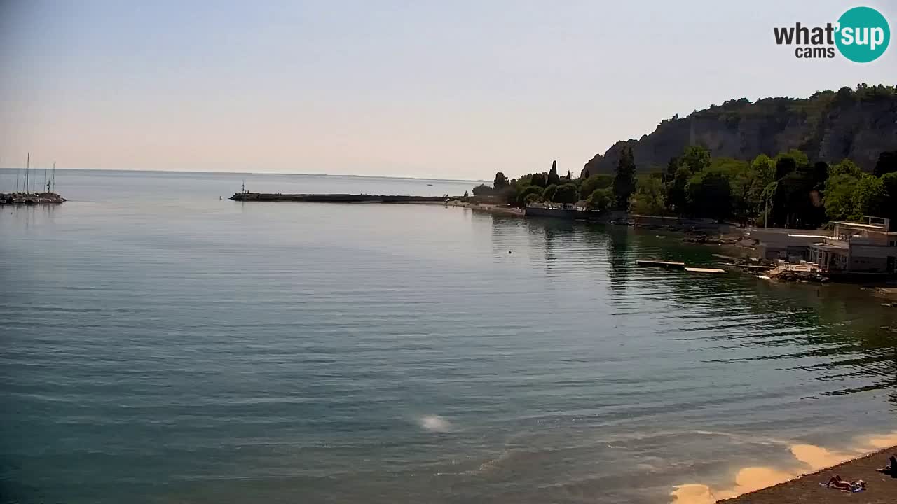 Spletna kamera Sesljan (Sistiana) – Pogled na marino in zaliv