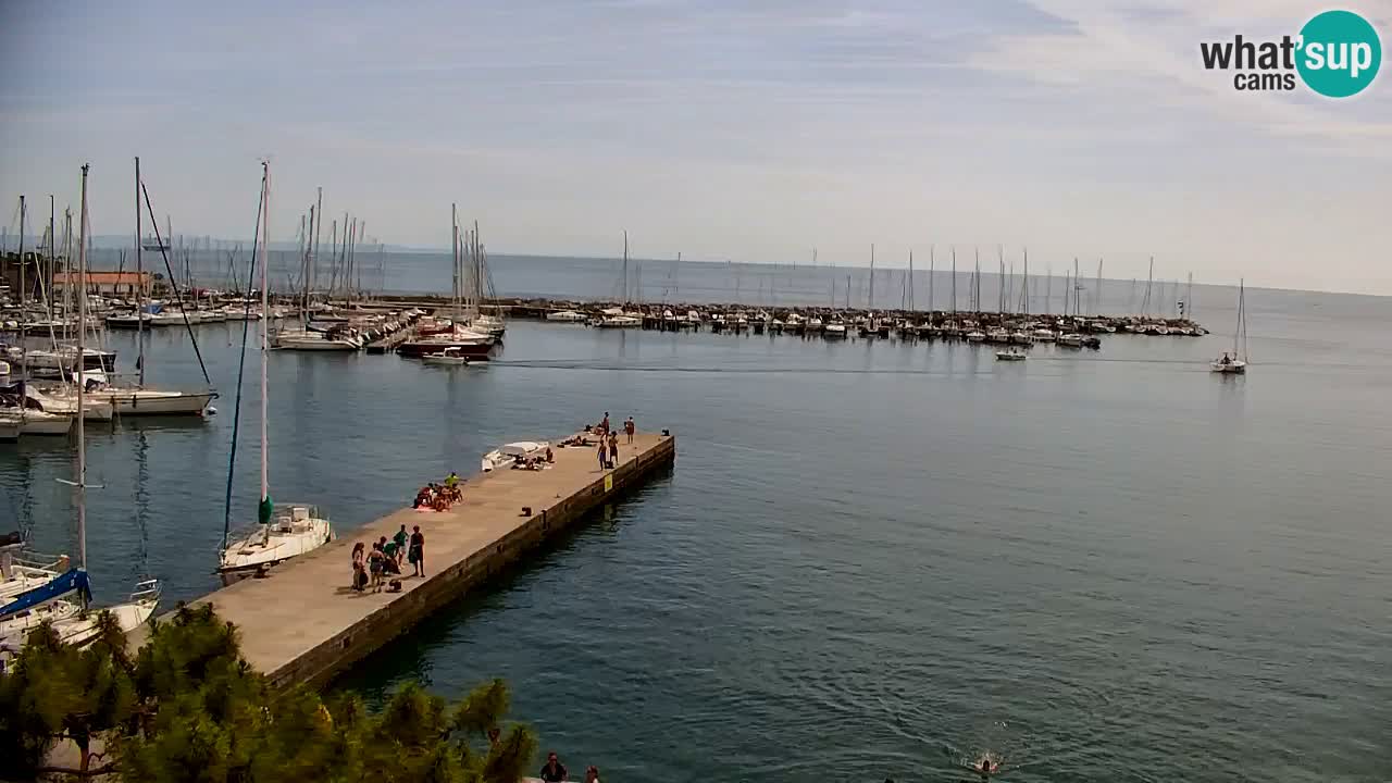 Webcam Sistiana – Pogled na marinu i zaljev
