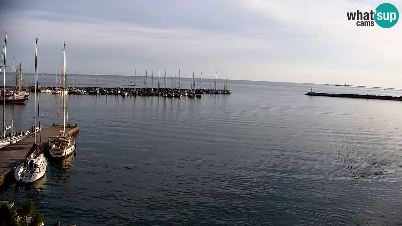 Webcam Sistiana – Blick auf Marina und Bucht