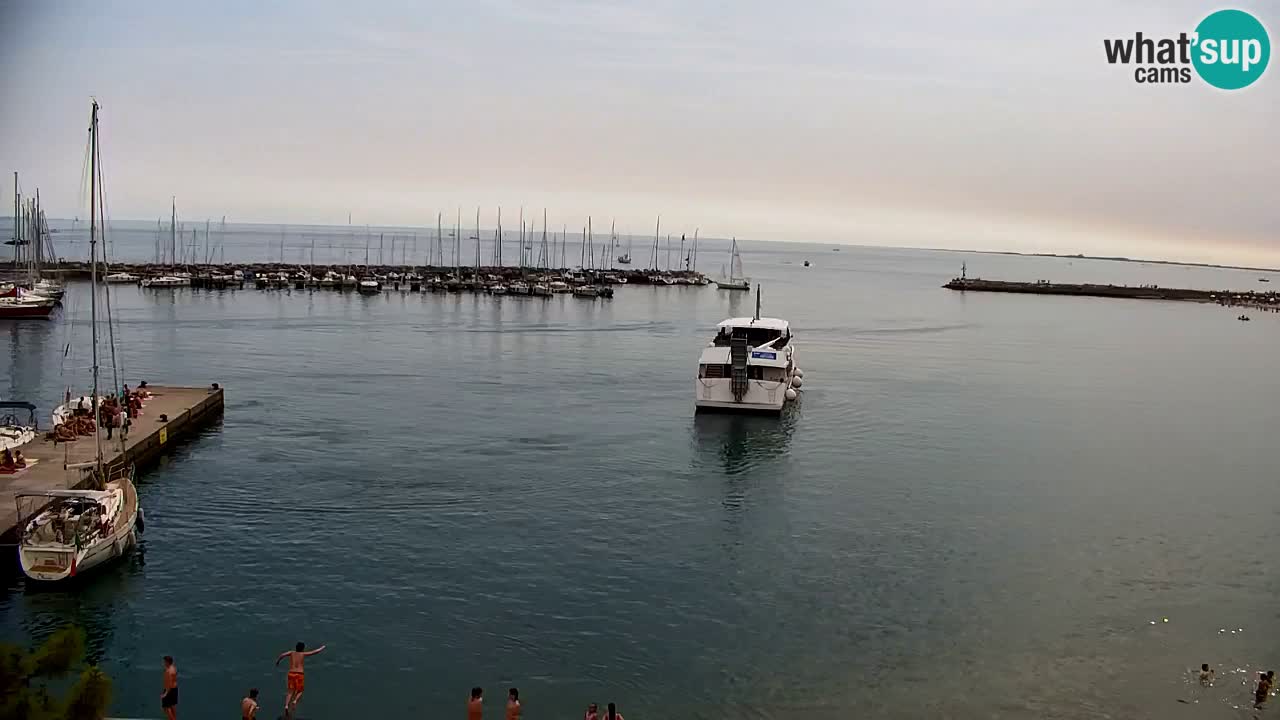 Spletna kamera Sesljan (Sistiana) – Pogled na marino in zaliv