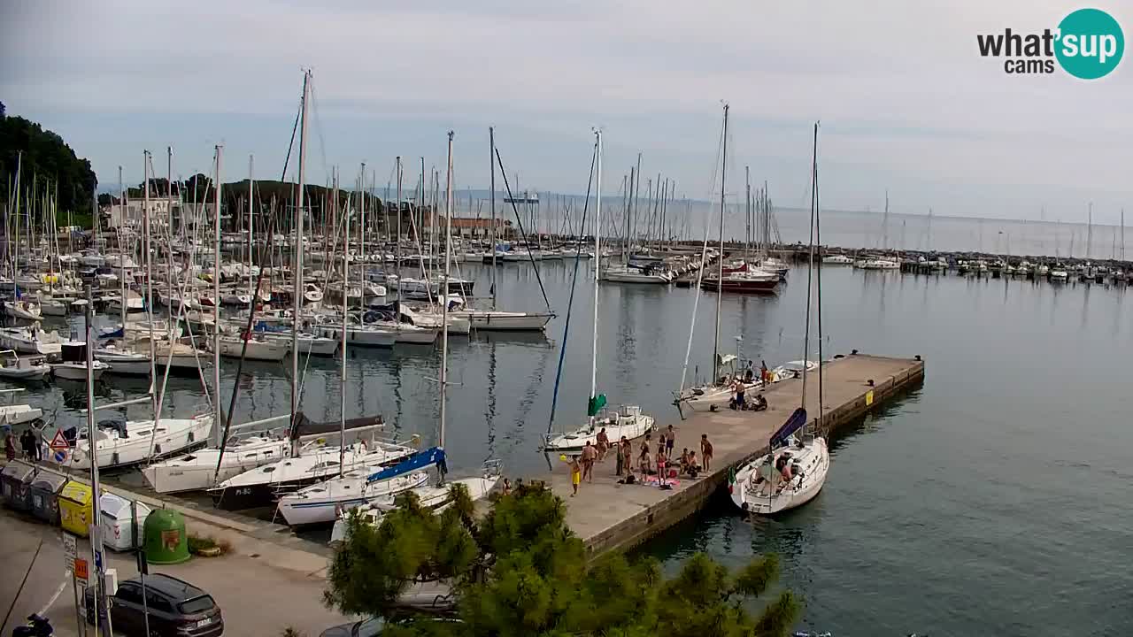 Webcam Sistiana – Vista sulla marina e sulla baia