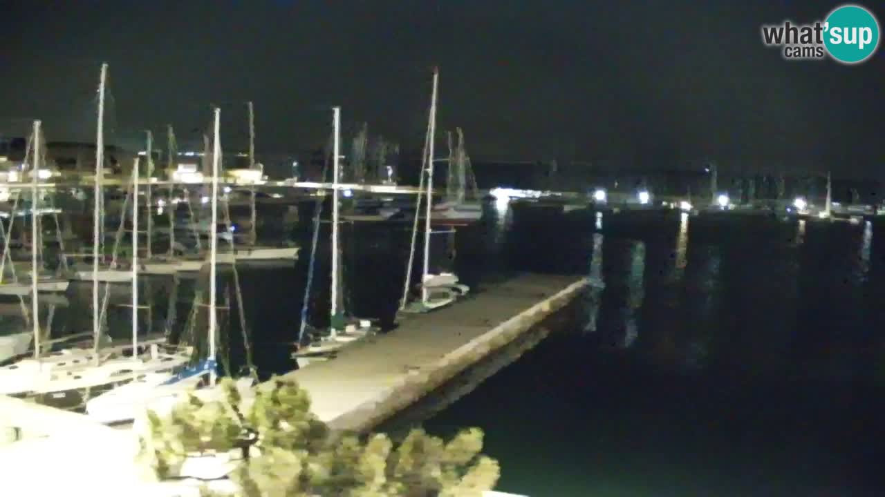 Webcam Sistiana – Marina and Bay Live View