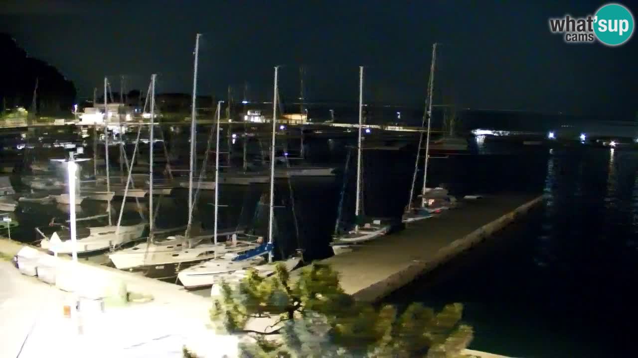 Webcam Sistiana – Marina and Bay Live View