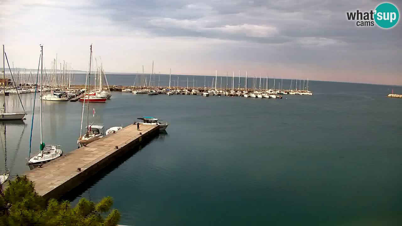 Webcam Sistiana – Blick auf Marina und Bucht