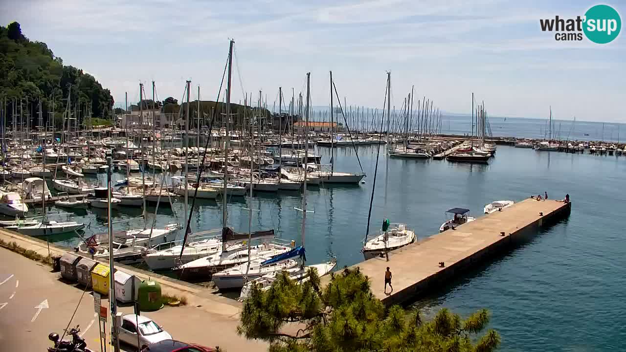 Webcam Sistiana – Pogled na marinu i zaljev
