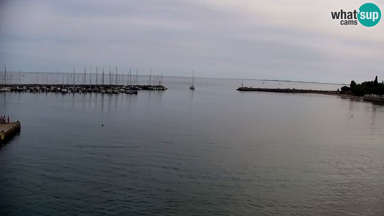 Spletna kamera Sesljan (Sistiana) – Pogled na marino in zaliv