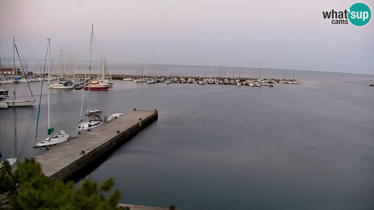 Webcam Sistiana – Vista sobre la marina y la bahía