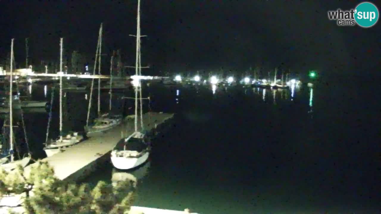 Webcam Sistiana – Pogled na marinu i zaljev
