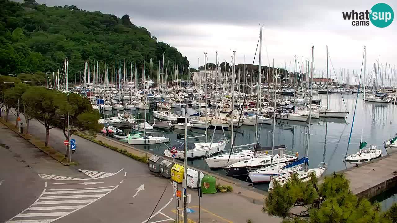 Webcam Sistiana – Marina and Bay Live View