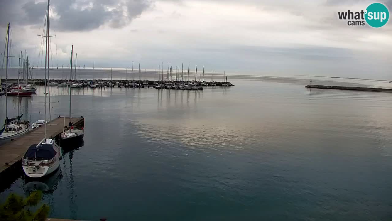 Webcam Sistiana – Pogled na marinu i zaljev