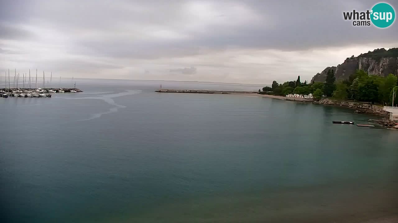 Spletna kamera Sesljan (Sistiana) – Pogled na marino in zaliv