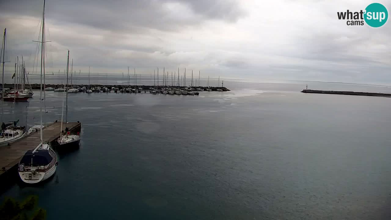 Webcam Sistiana – Marina and Bay Live View