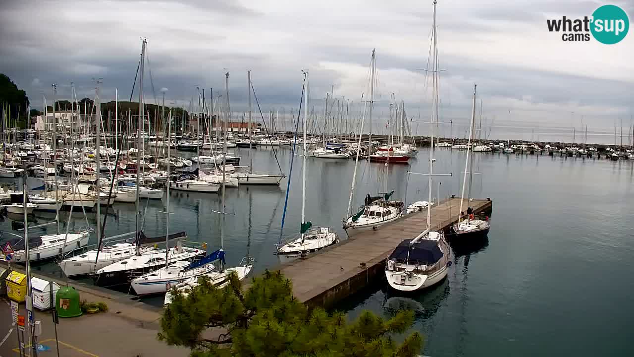 Webcam Sistiana – Marina and Bay Live View