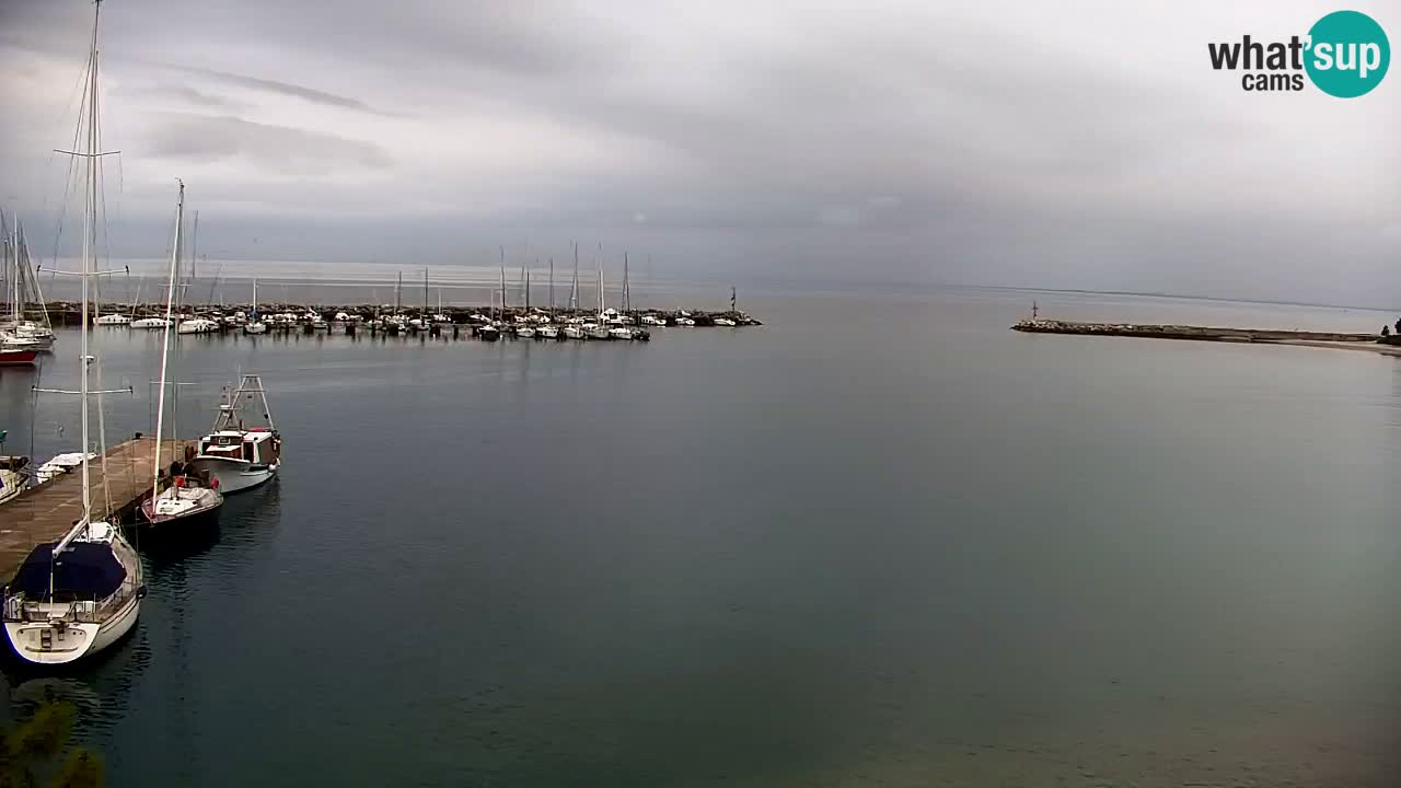 Webcam Sistiana – Marina and Bay Live View