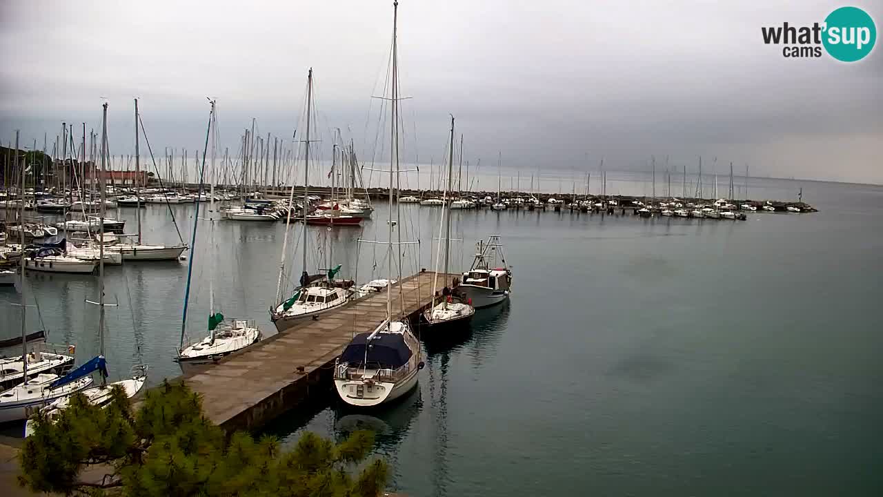 Webcam Sistiana – Marina and Bay Live View