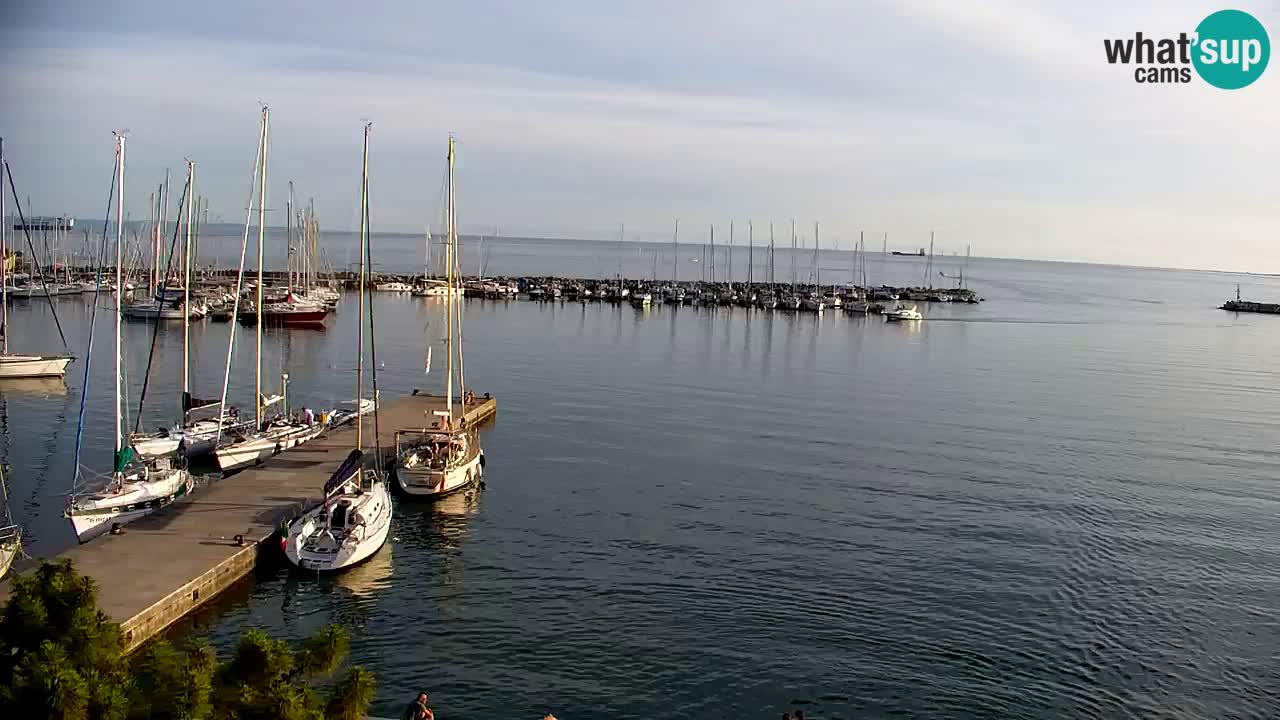 Webcam Sistiana – Pogled na marinu i zaljev