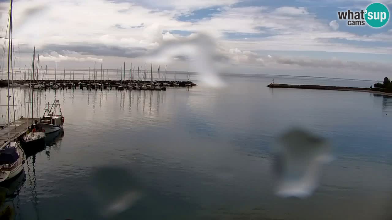 Webcam Sistiana – Pogled na marinu i zaljev