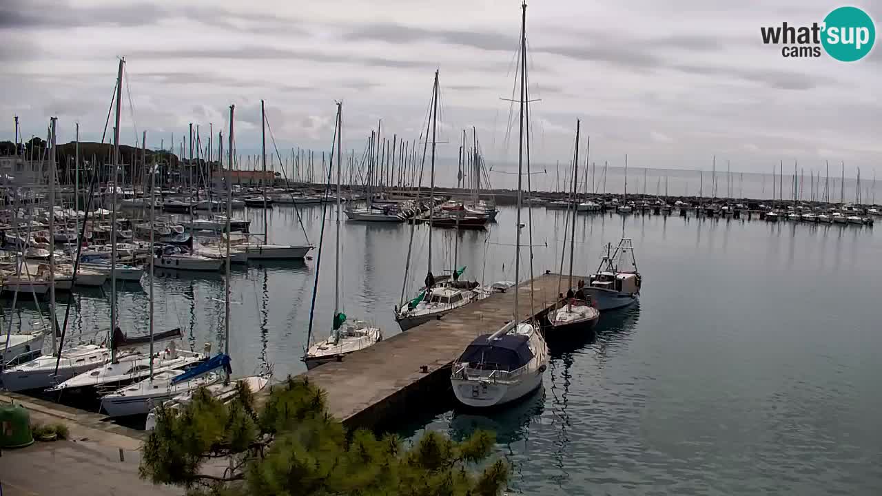 Webcam Sistiana – Blick auf Marina und Bucht