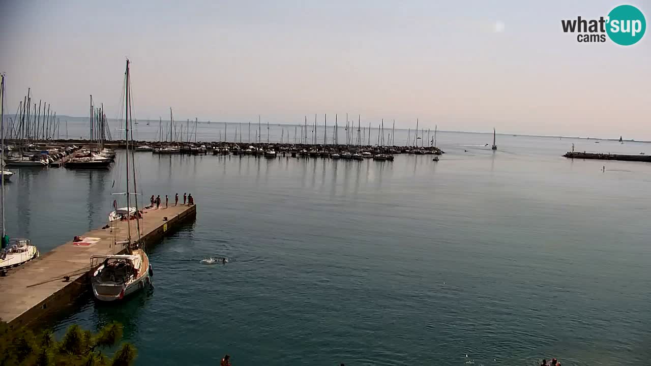 Webcam Sistiana – Pogled na marinu i zaljev