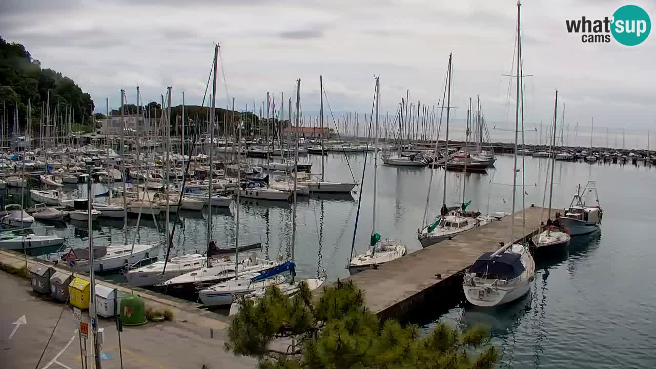 Webcam Sistiana – Marina and Bay Live View
