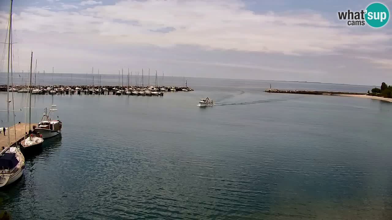 Webcam Sistiana – Blick auf Marina und Bucht