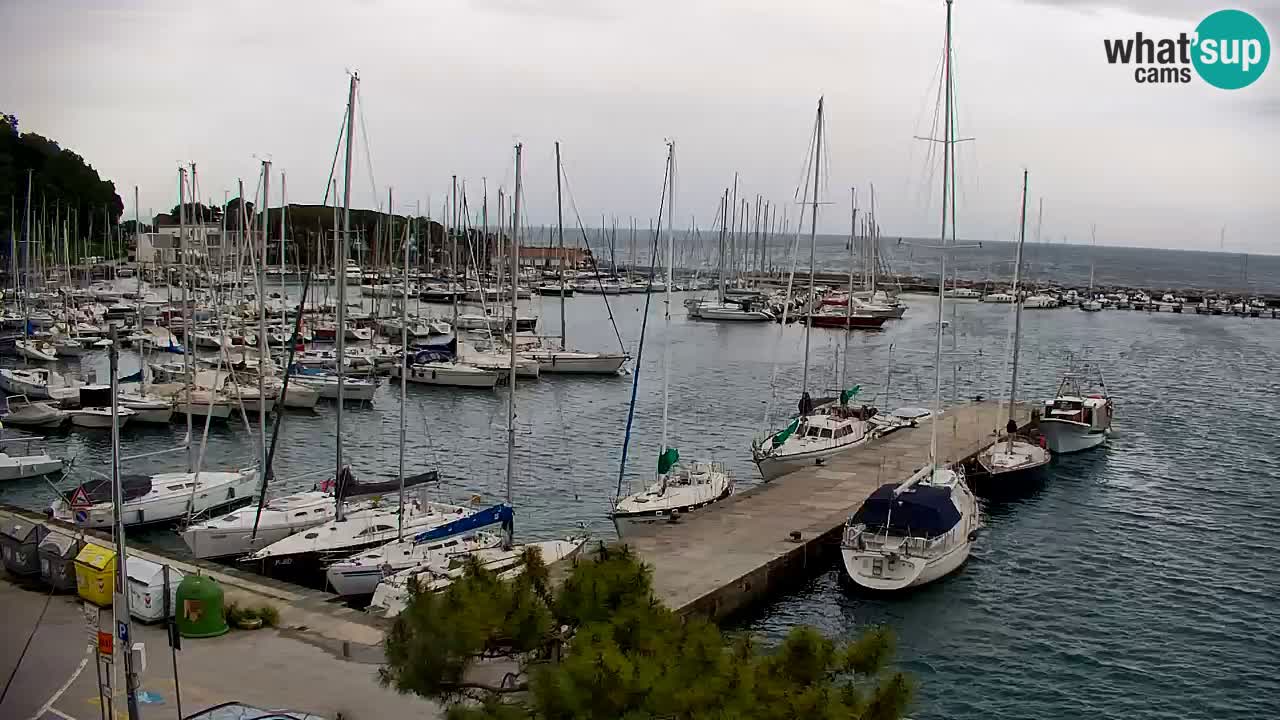 Webcam Sistiana – Marina and Bay Live View