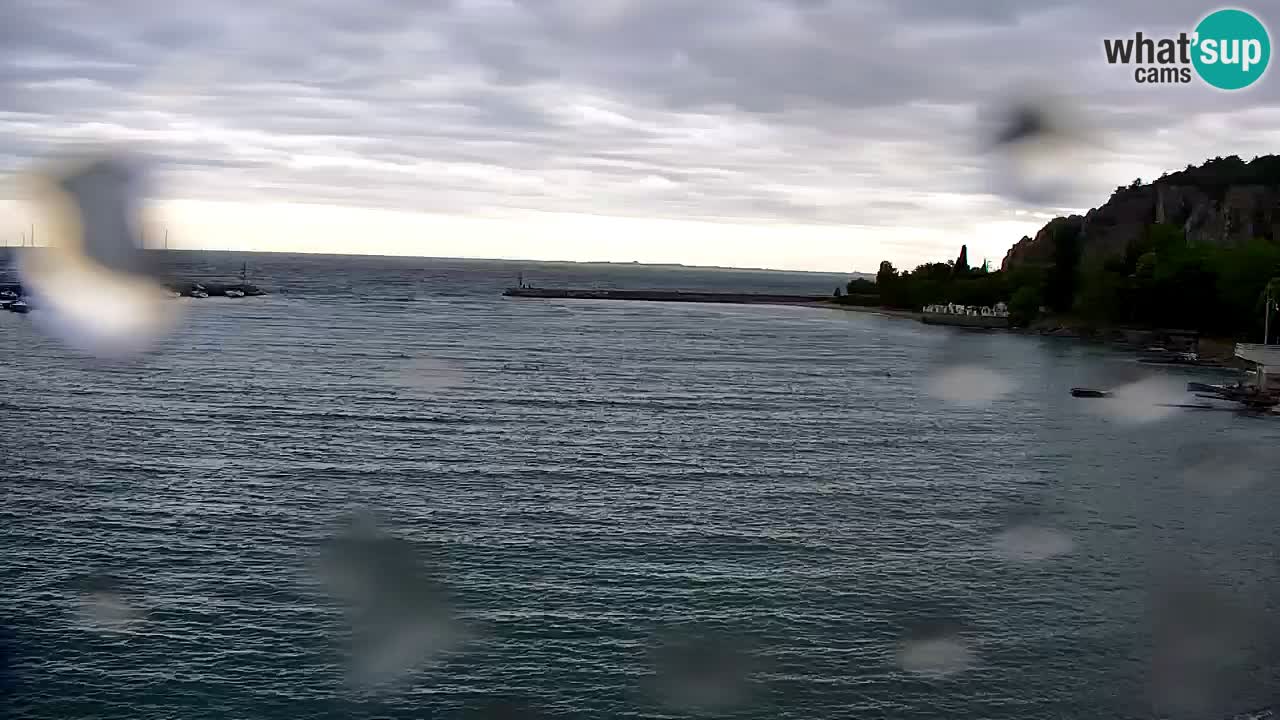 Webcam Sistiana – Vista sobre la marina y la bahía