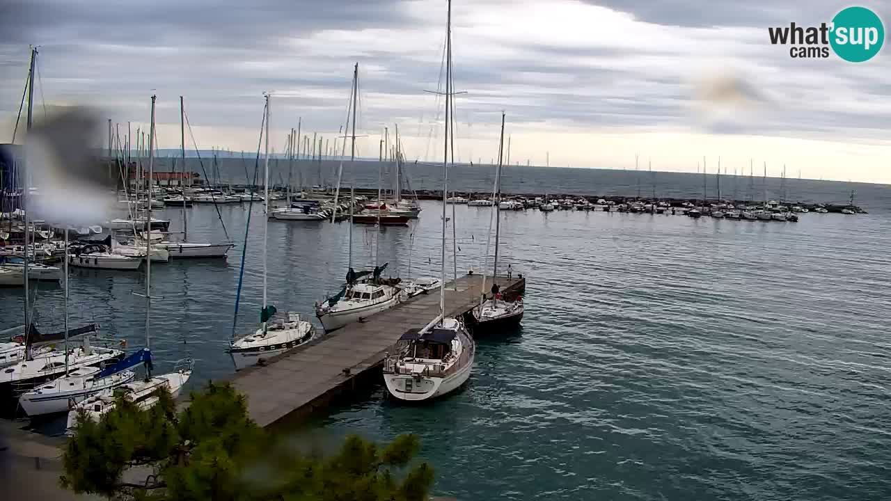 Webcam Sistiana – Marina and Bay Live View
