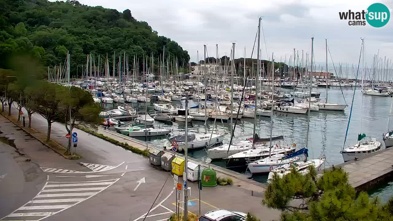 Webcam Sistiana – Marina and Bay Live View