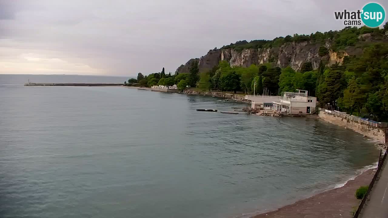 Webcam Sistiana – Marina and Bay Live View