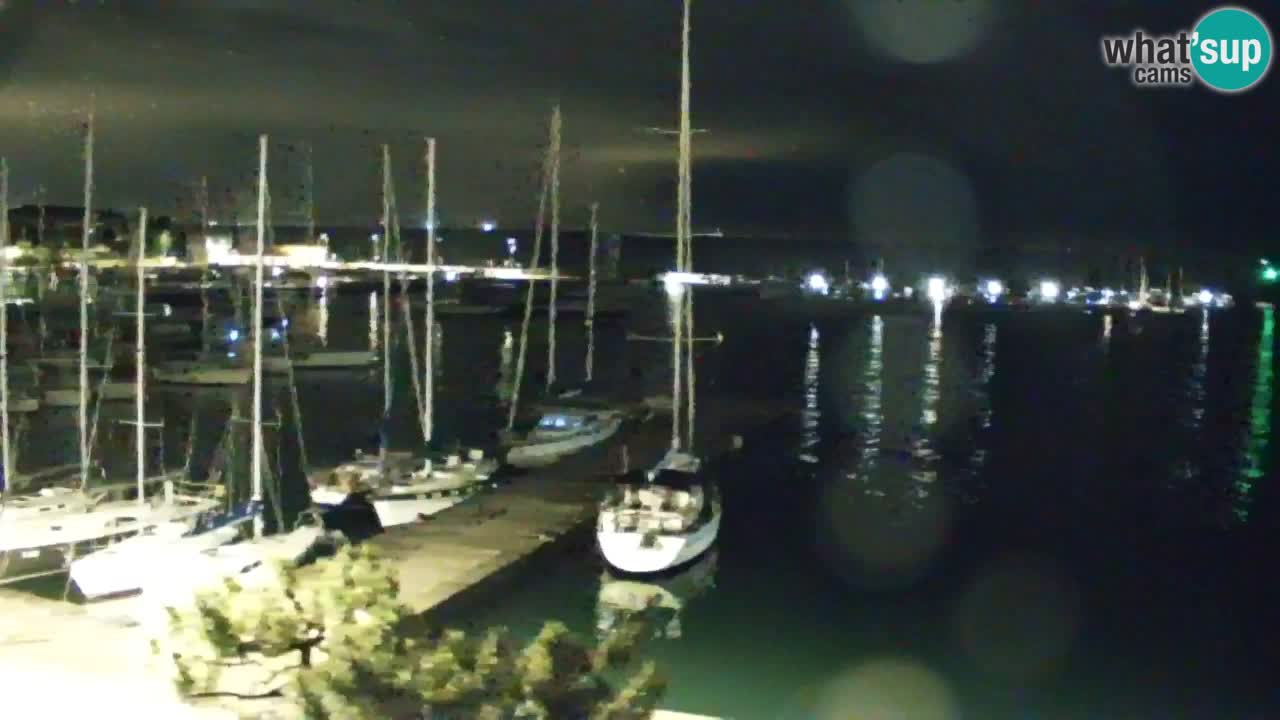 Webcam Sistiana – Marina and Bay Live View