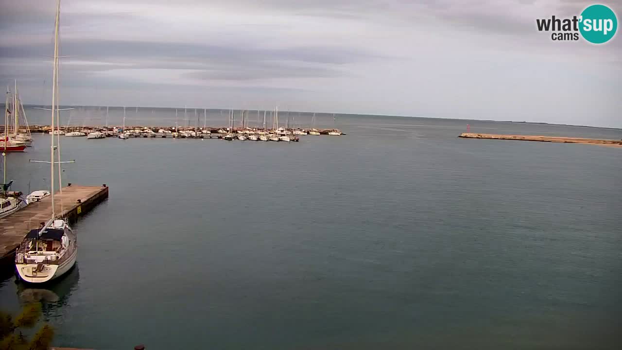 Webcam Sistiana – Pogled na marinu i zaljev