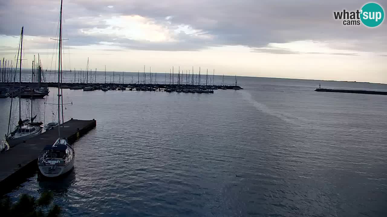 Webcam Sistiana – Vista sobre la marina y la bahía