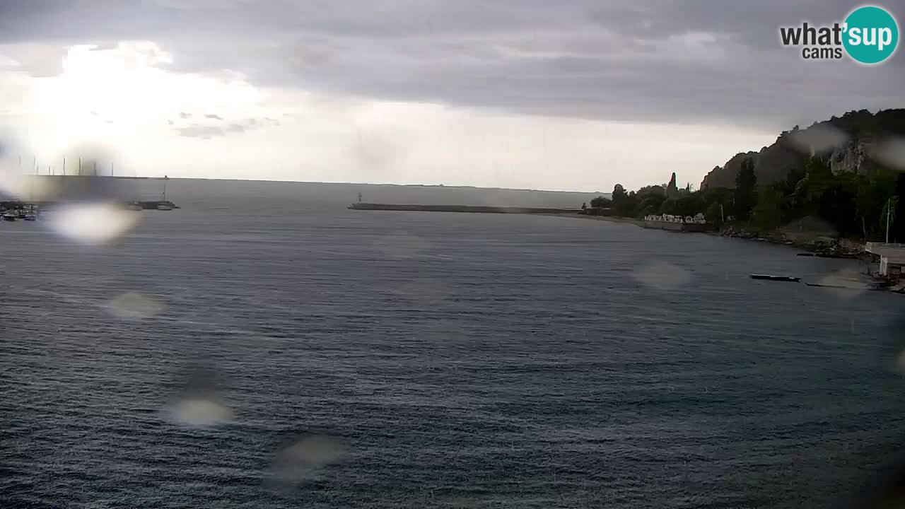 Webcam Sistiana – Marina and Bay Live View
