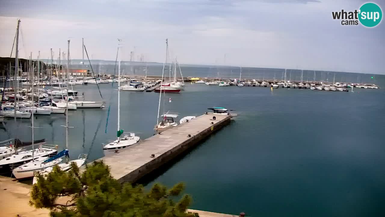 Webcam Sistiana – Pogled na marinu i zaljev