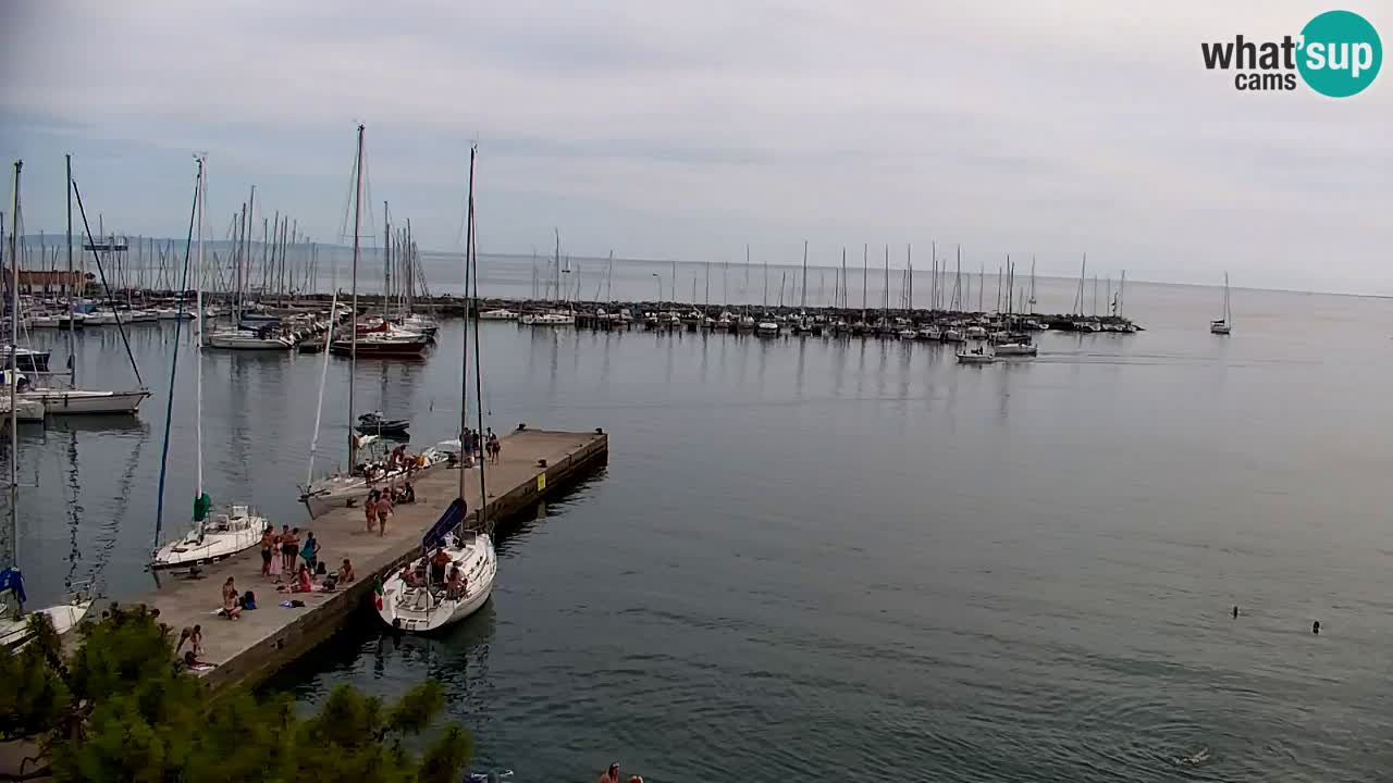 Webcam Sistiana – Vista sulla marina e sulla baia