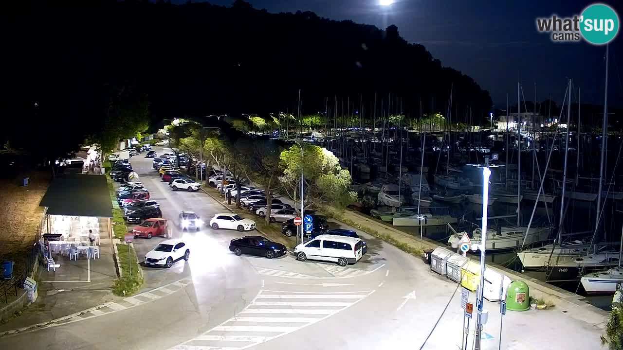 Spletna kamera Sesljan (Sistiana) – Pogled na marino in zaliv